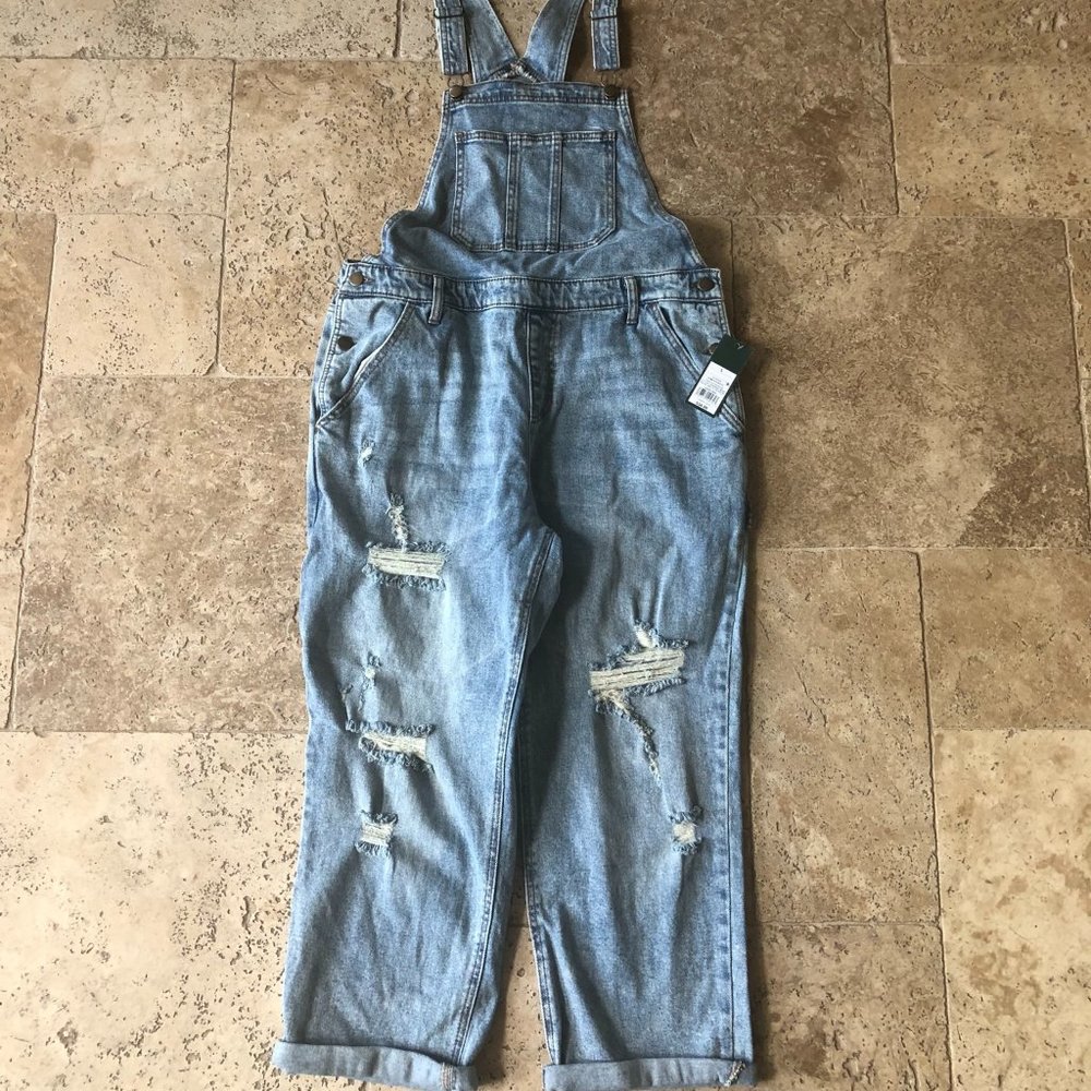 Wild Fable Denim Distressed Overalls